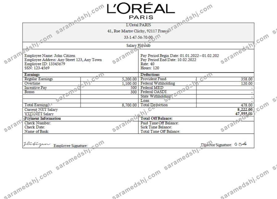 France Loreal Paris cosmetic distributing company